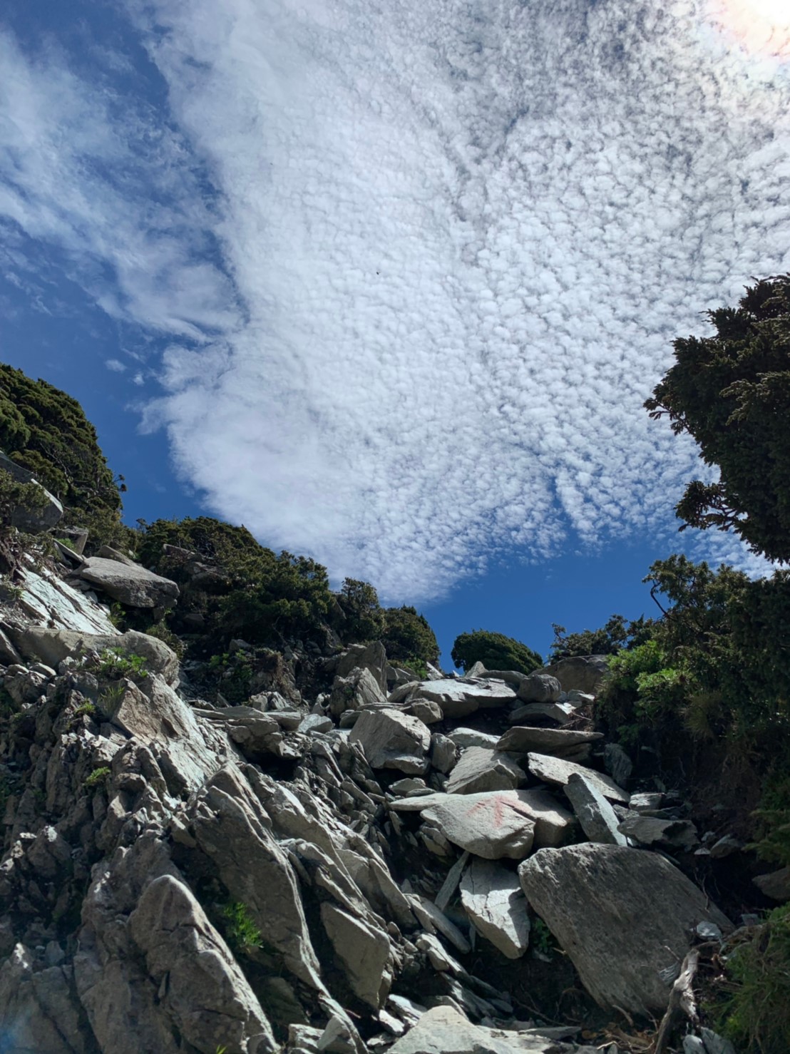 2019060708風景隨意拍_190611_0218