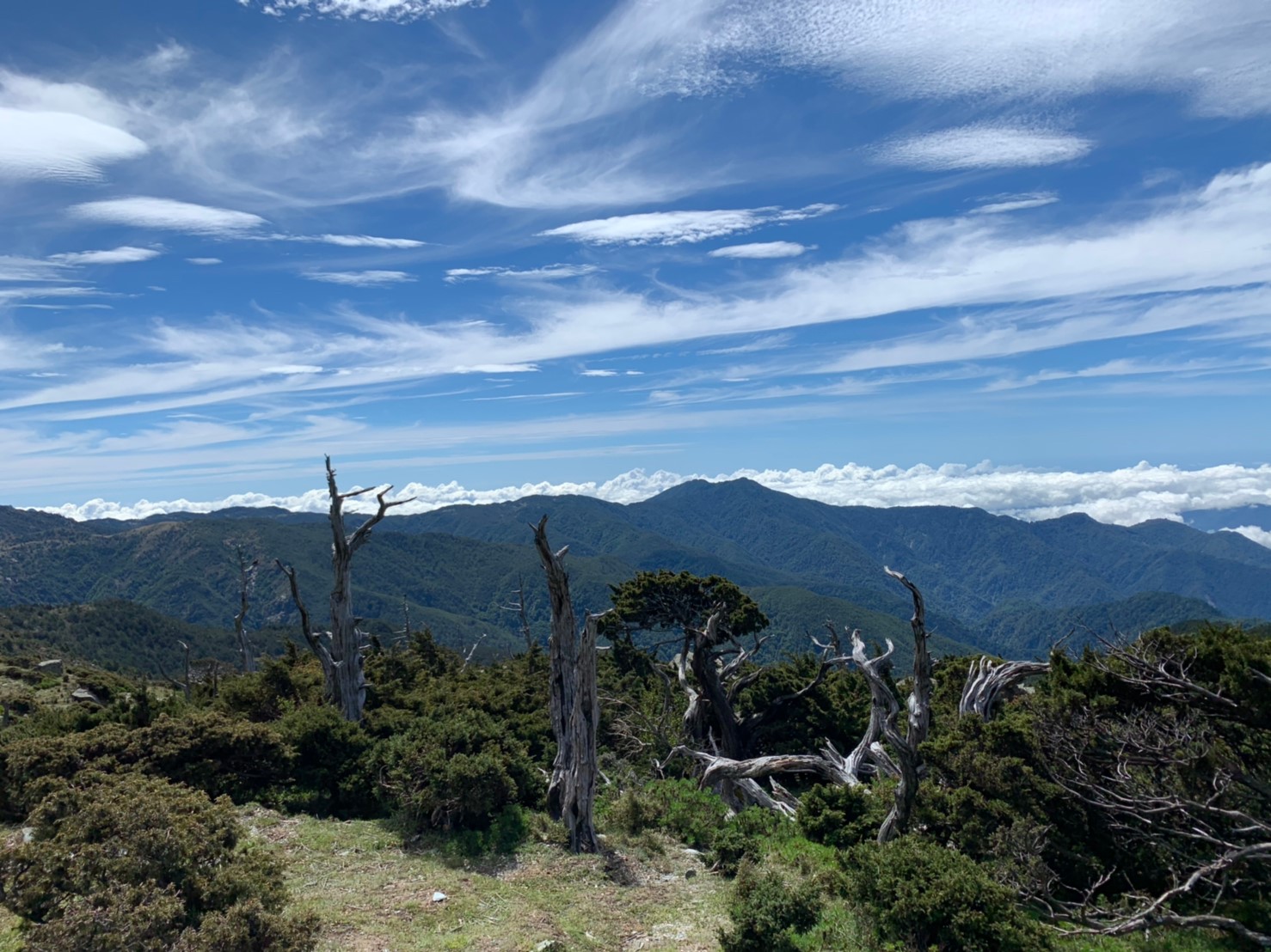 2019060708風景隨意拍_190611_0222