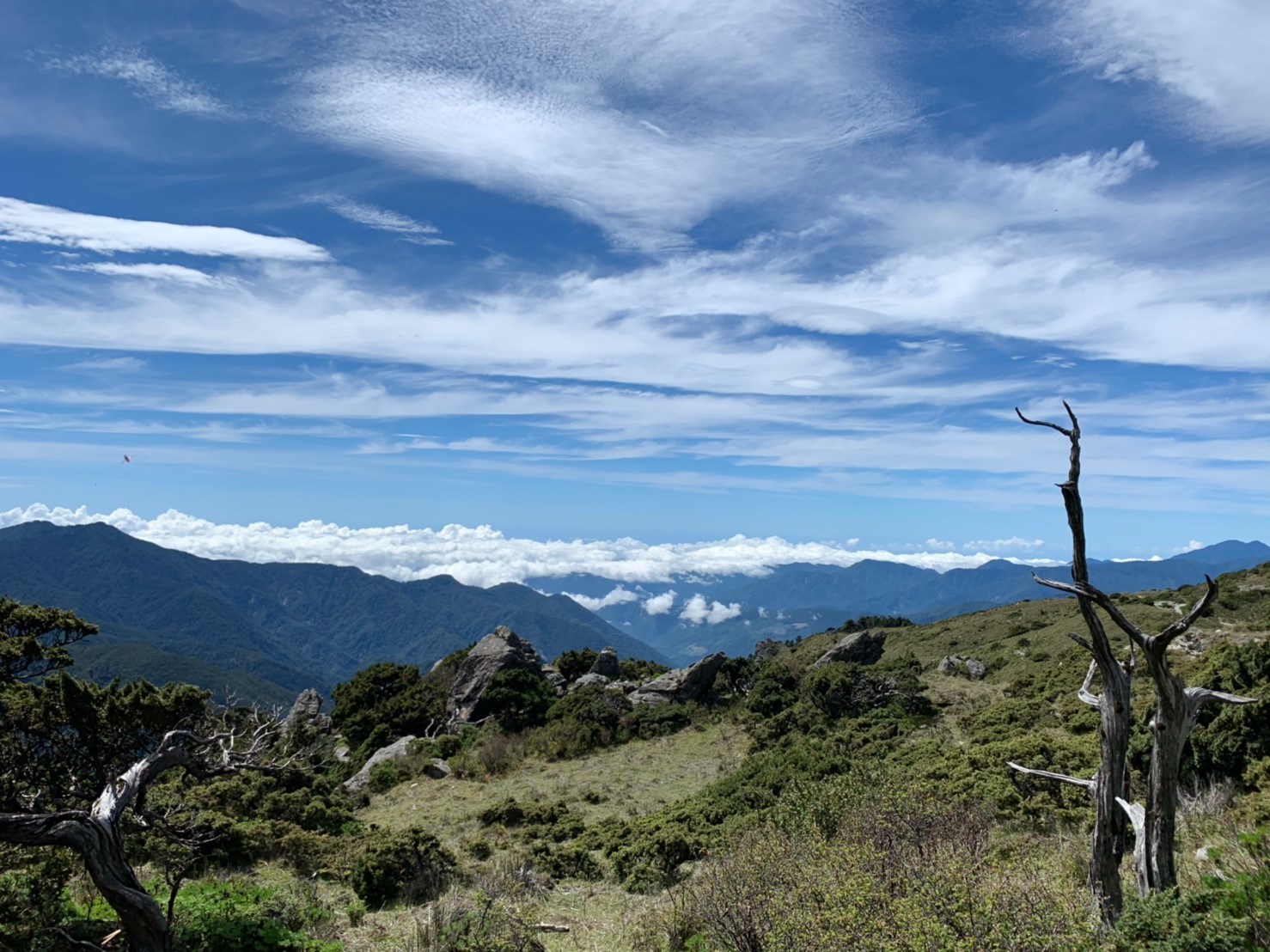 2019060708風景隨意拍_190611_0223