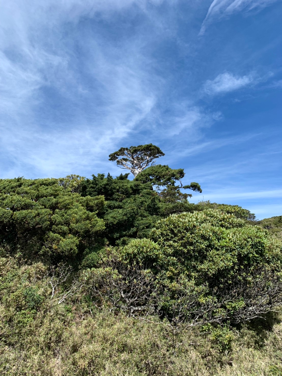 2019060708風景隨意拍_190611_0247