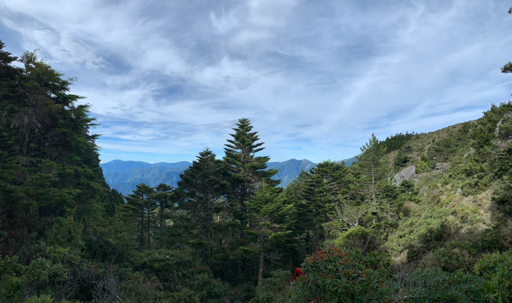 2019060708風景隨意拍_190611_0262