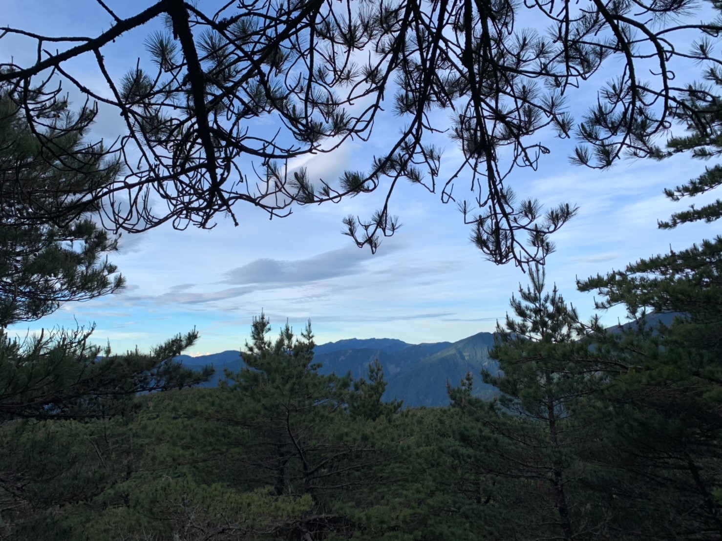 2019060708風景隨意拍_190611_0268