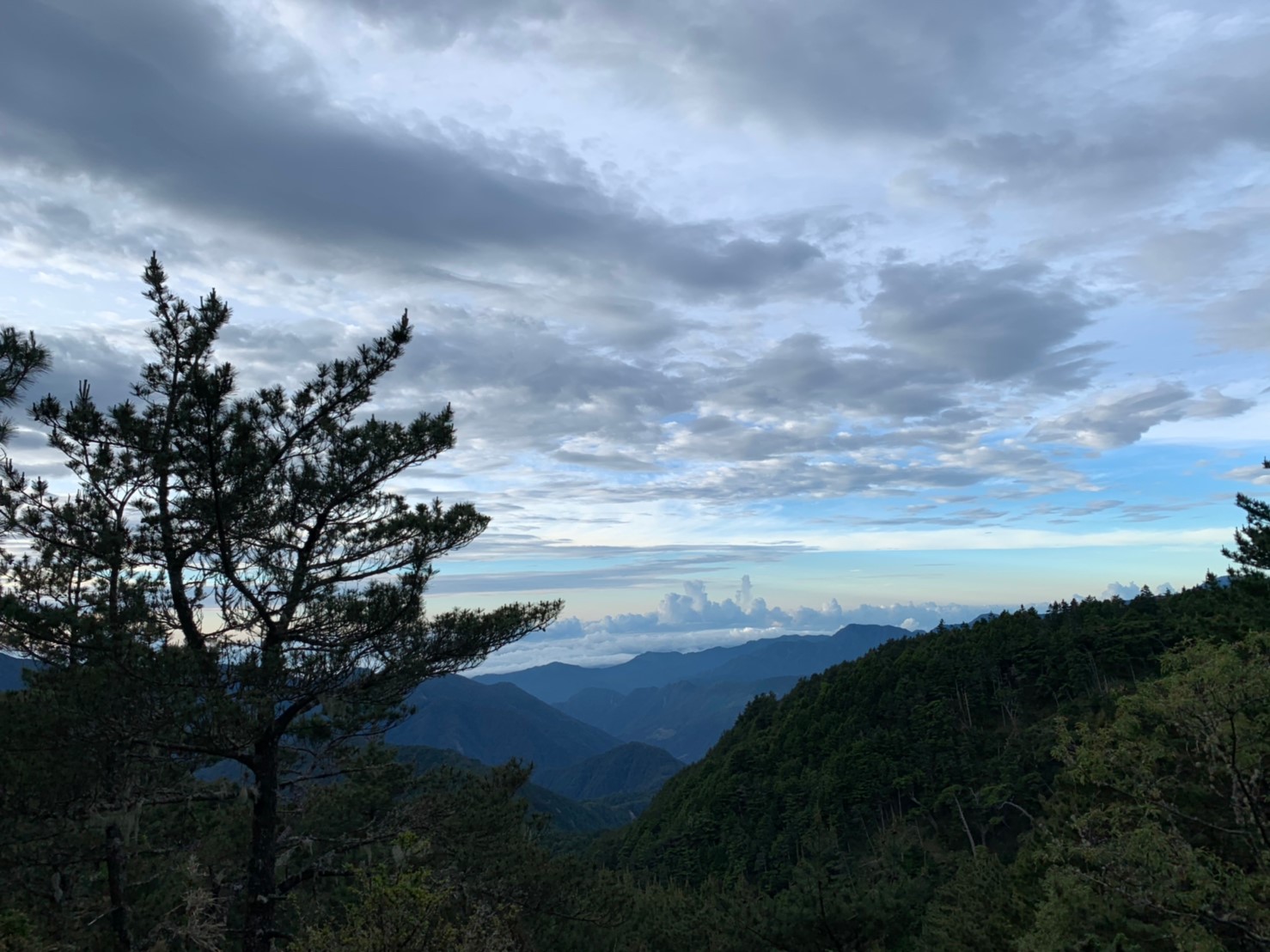 2019060708風景隨意拍_190611_0269