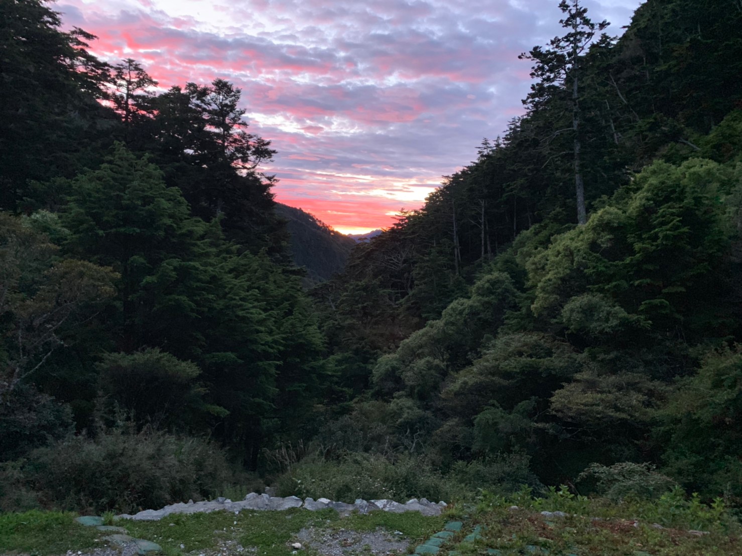 2019060708風景隨意拍_190611_0271
