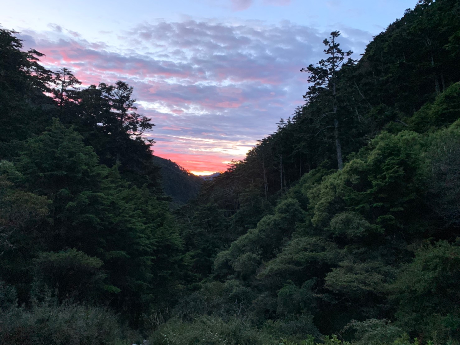 2019060708風景隨意拍_190611_0272