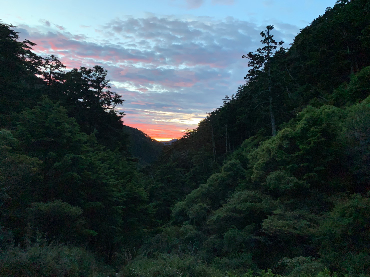 2019060708風景隨意拍_190611_0273