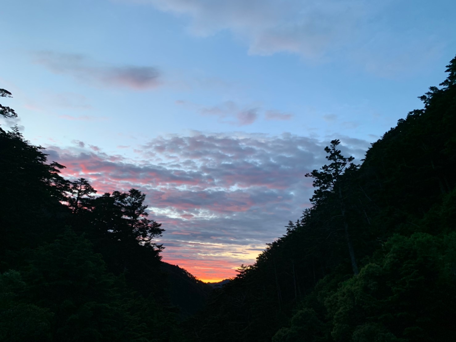 2019060708風景隨意拍_190611_0274