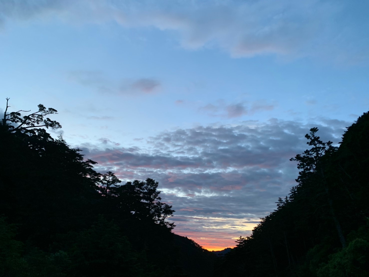 2019060708風景隨意拍_190611_0275