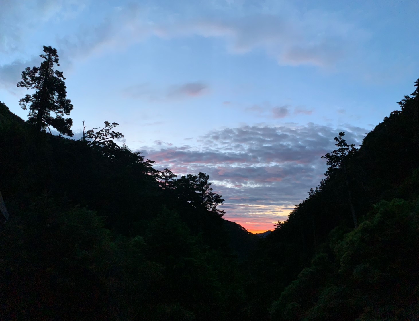 2019060708風景隨意拍_190611_0276