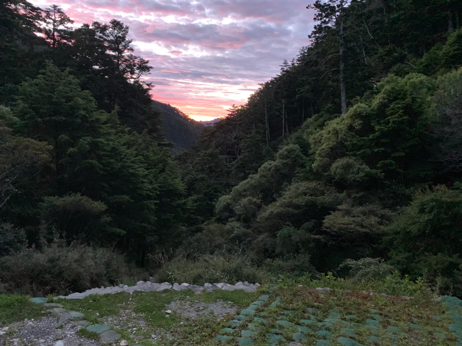 2019060708風景隨意拍_190611_0277