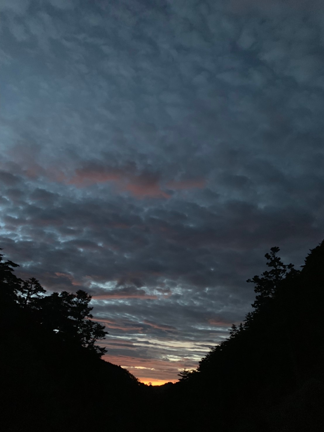 2019060708風景隨意拍_190611_0278