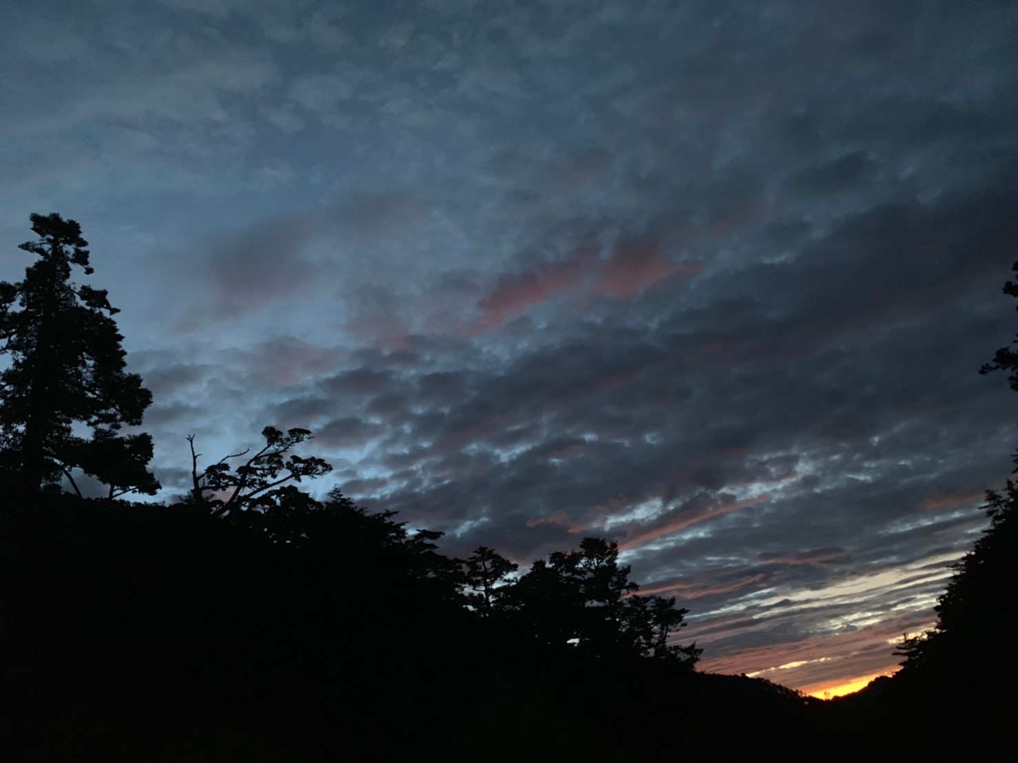 2019060708風景隨意拍_190611_0279