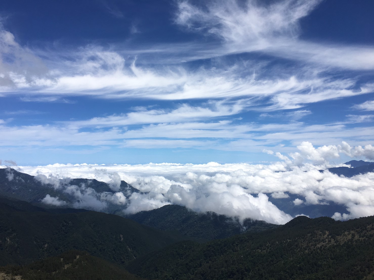 201906～08風景隨意拍_190611_0012