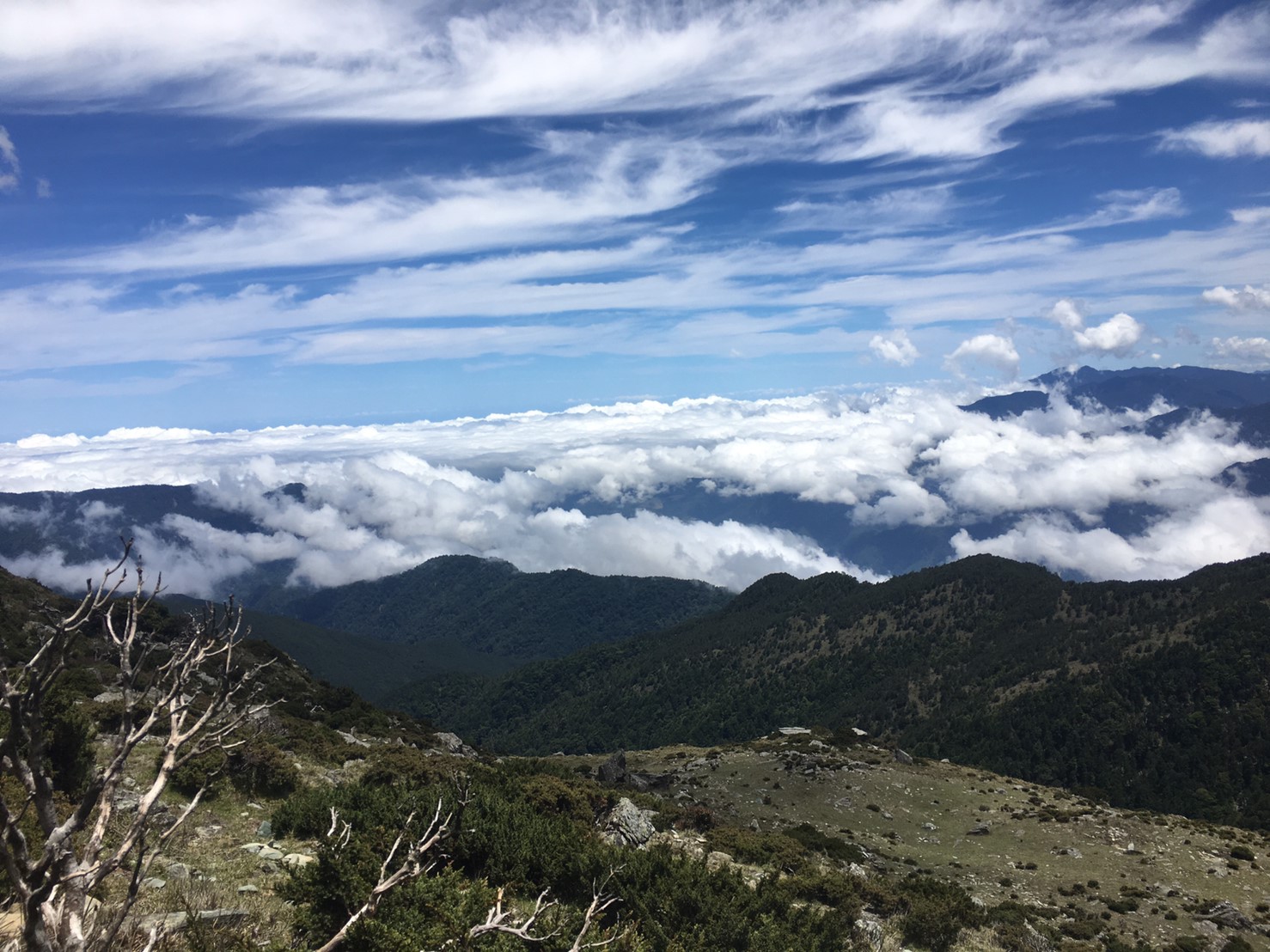 201906～08風景隨意拍_190611_0015