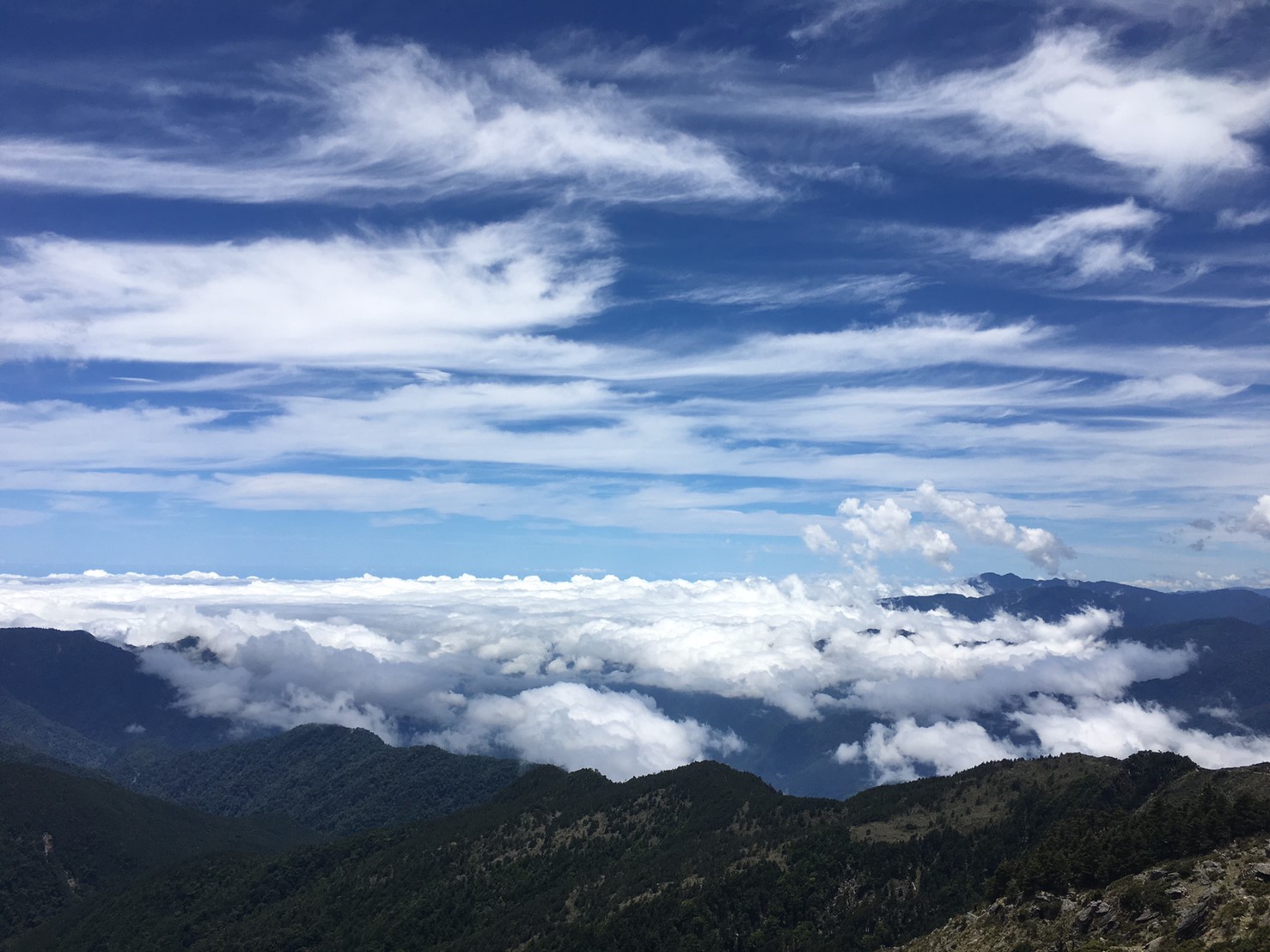 201906～08風景隨意拍_190611_0017