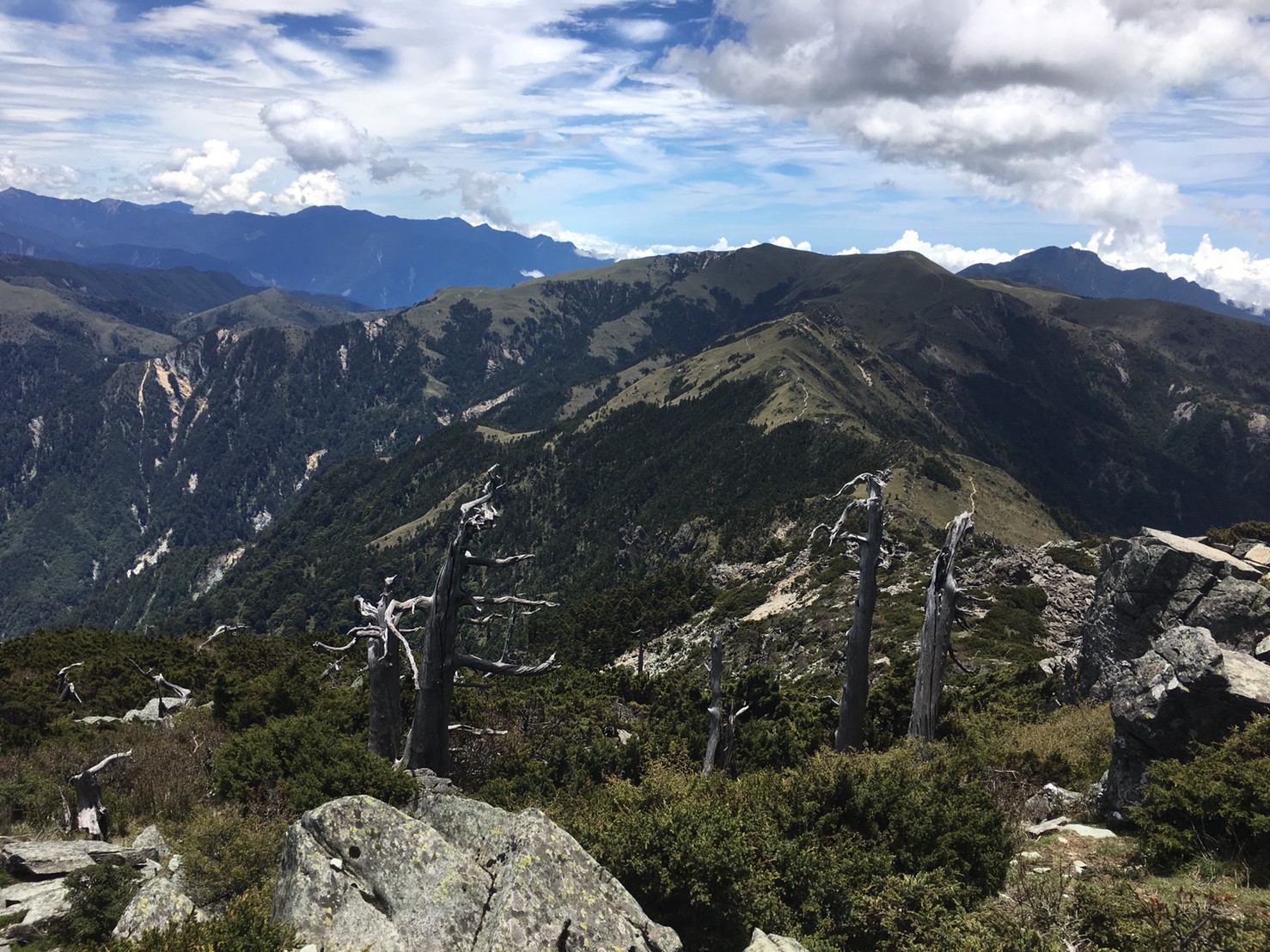 201906～08風景隨意拍_190611_0024
