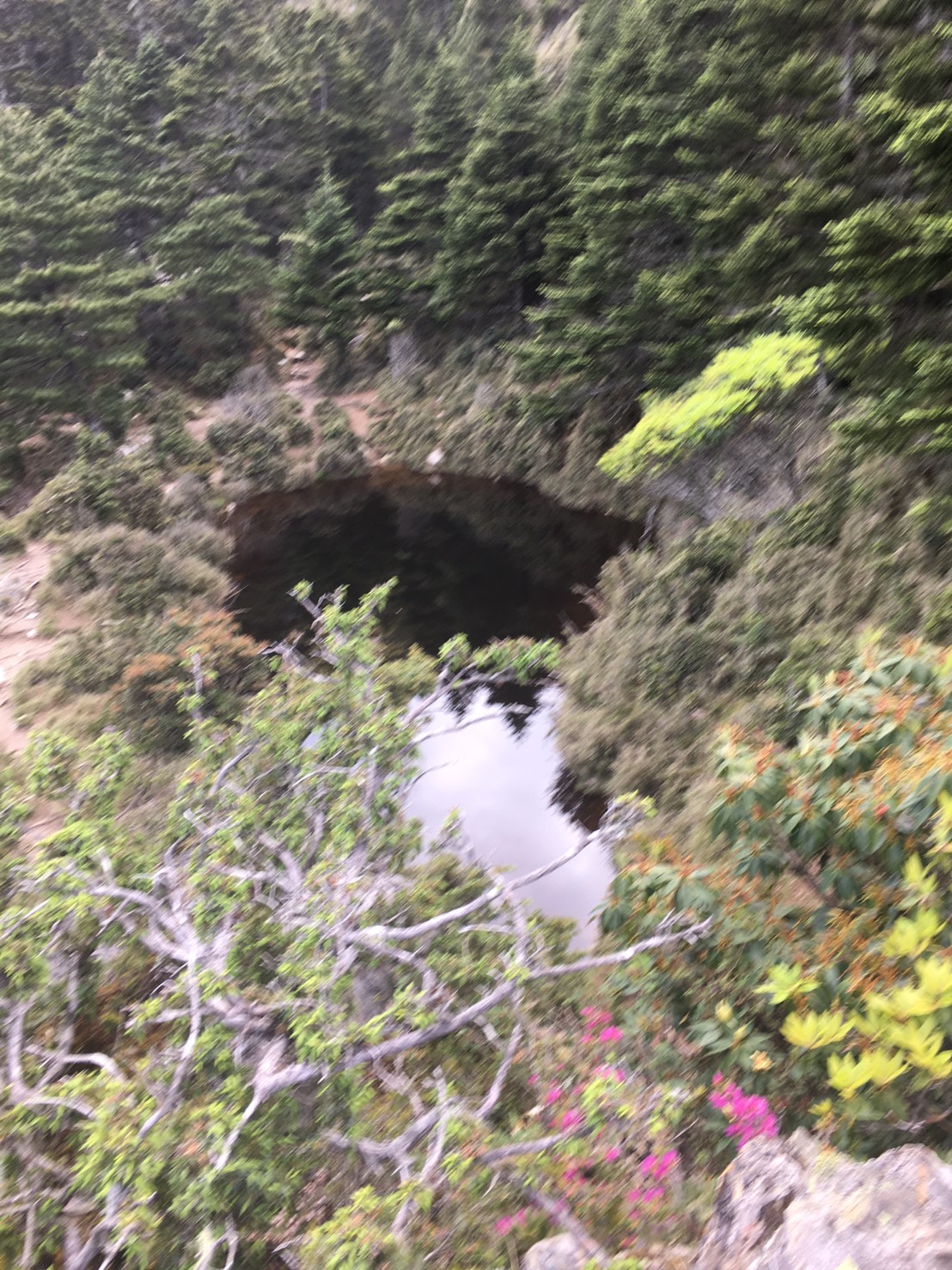 201906～08風景隨意拍_190611_0034