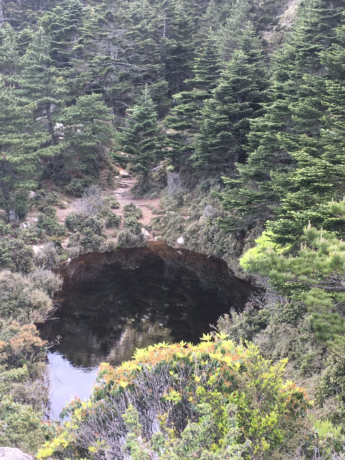 201906～08風景隨意拍_190611_0035