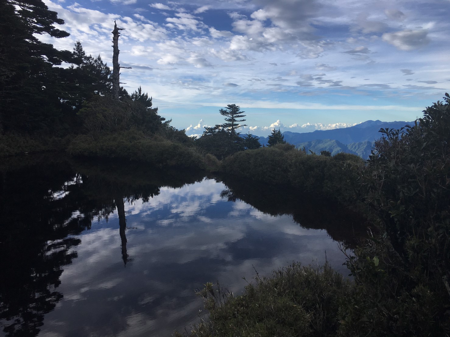 201906～08風景隨意拍_190611_0049