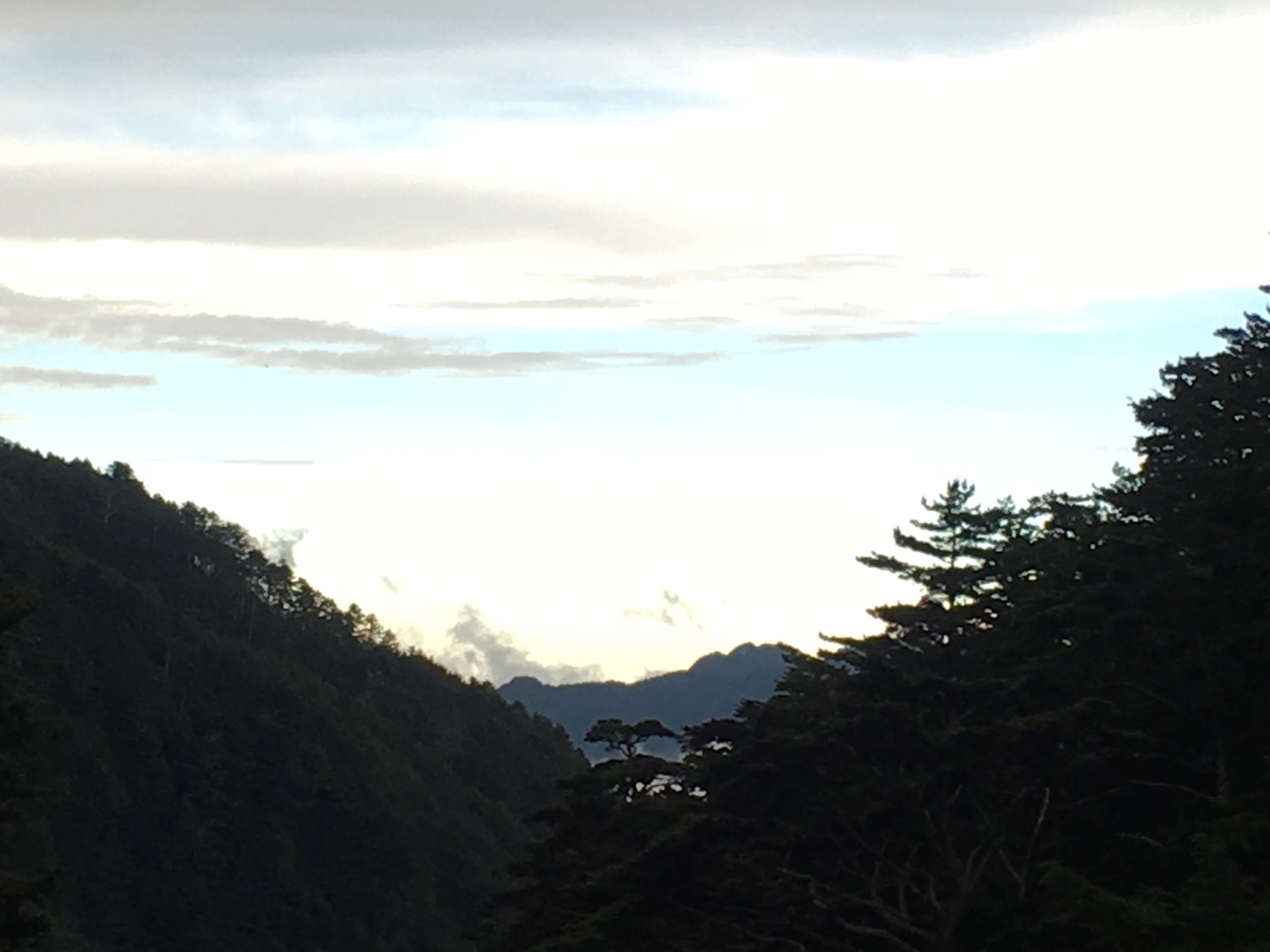 201906～08風景隨意拍_190611_0055