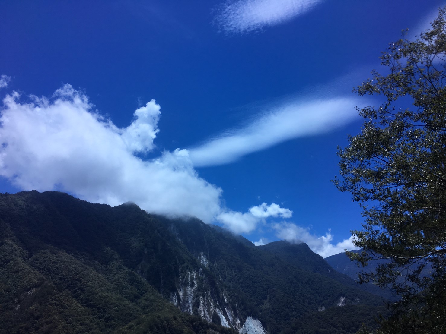 201906～08風景隨意拍_190611_0118
