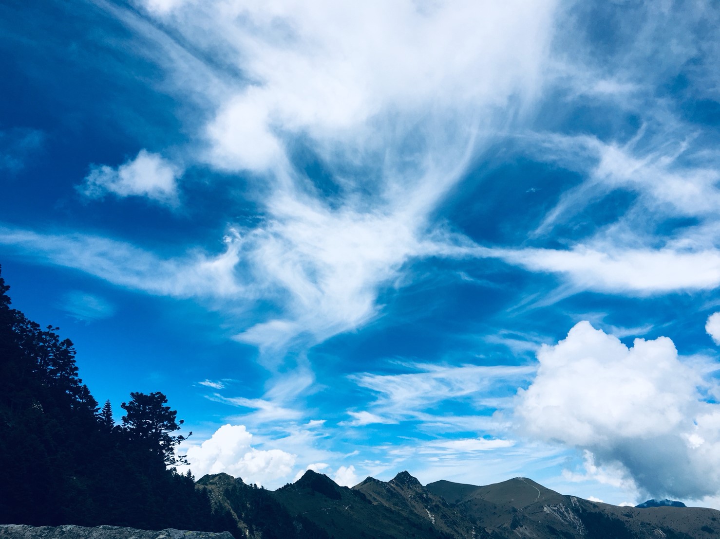 201906～08風景隨意拍_190612_0006