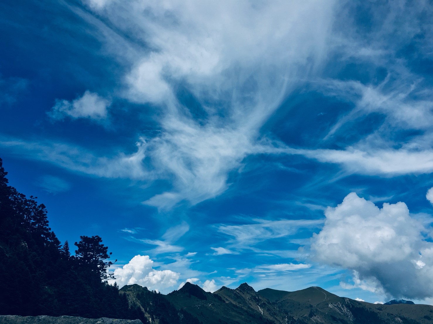 201906～08風景隨意拍_190612_0007