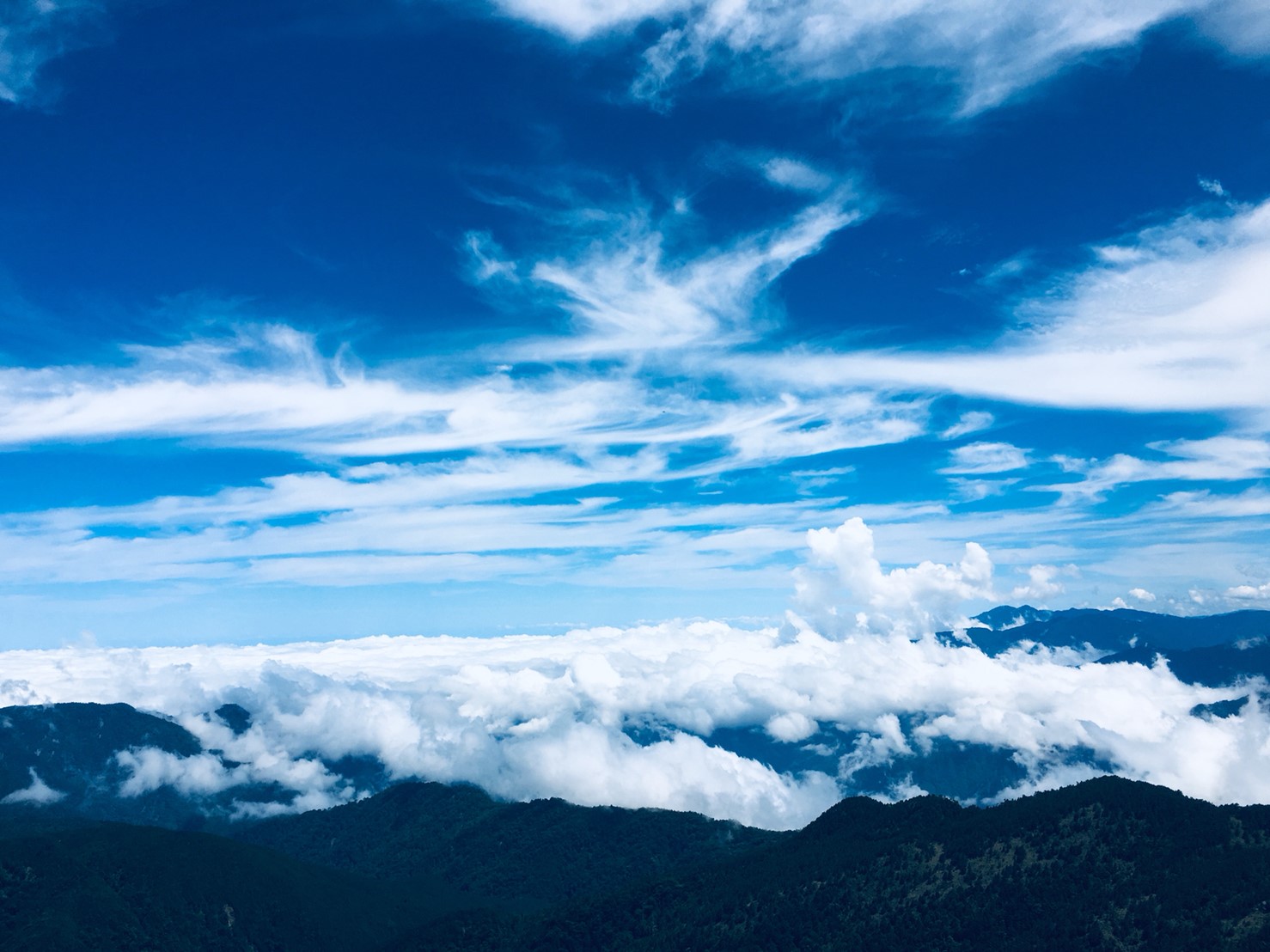 201906～08風景隨意拍_190612_0009