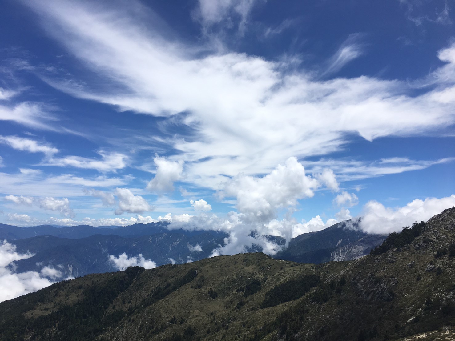 201906～08風景隨意拍_190612_0013