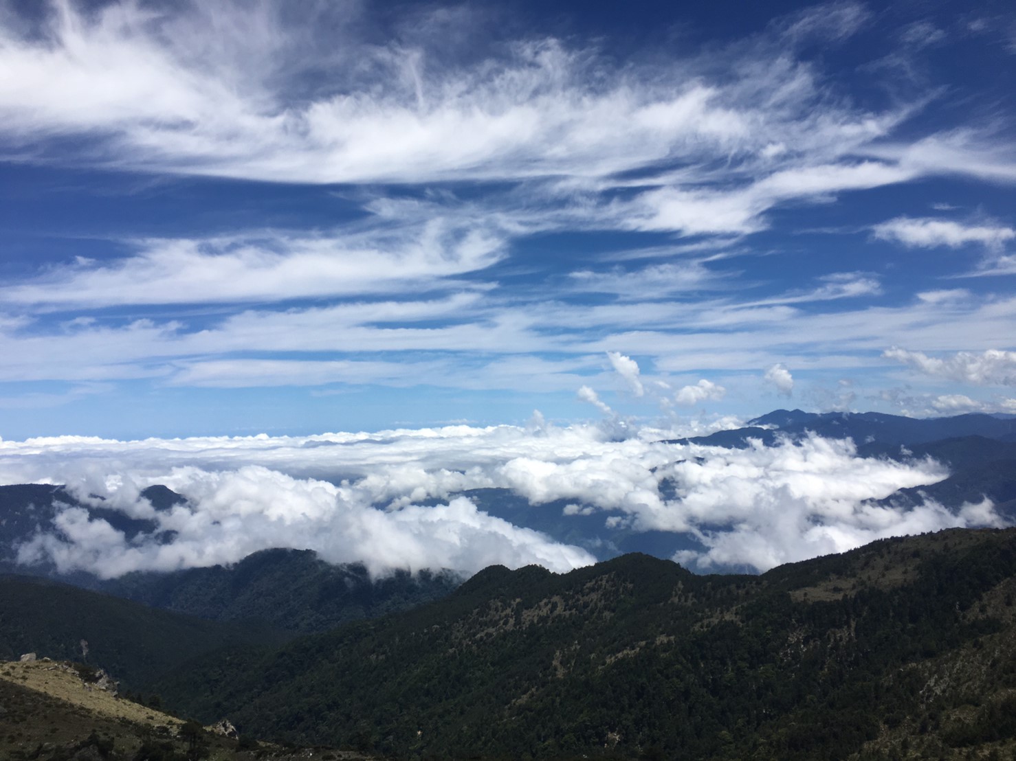 201906～08風景隨意拍_190612_0014
