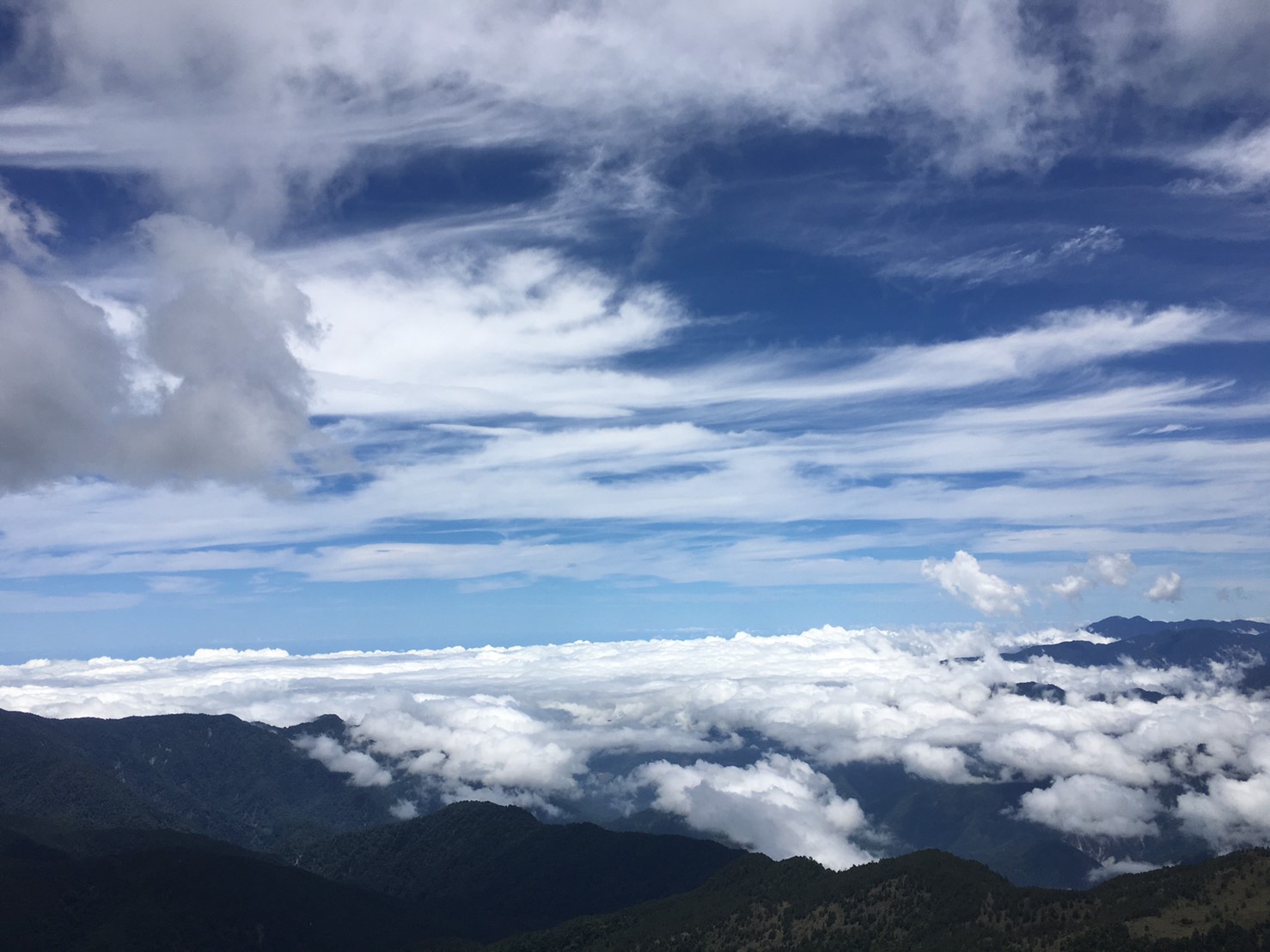 201906～08風景隨意拍_190612_0020