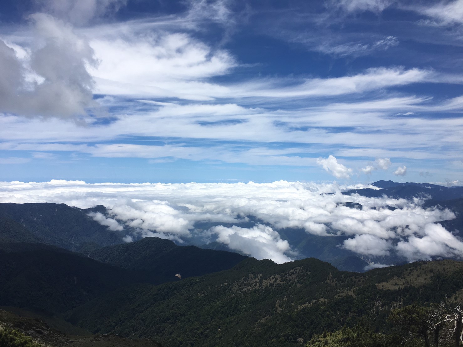 201906～08風景隨意拍_190612_0022