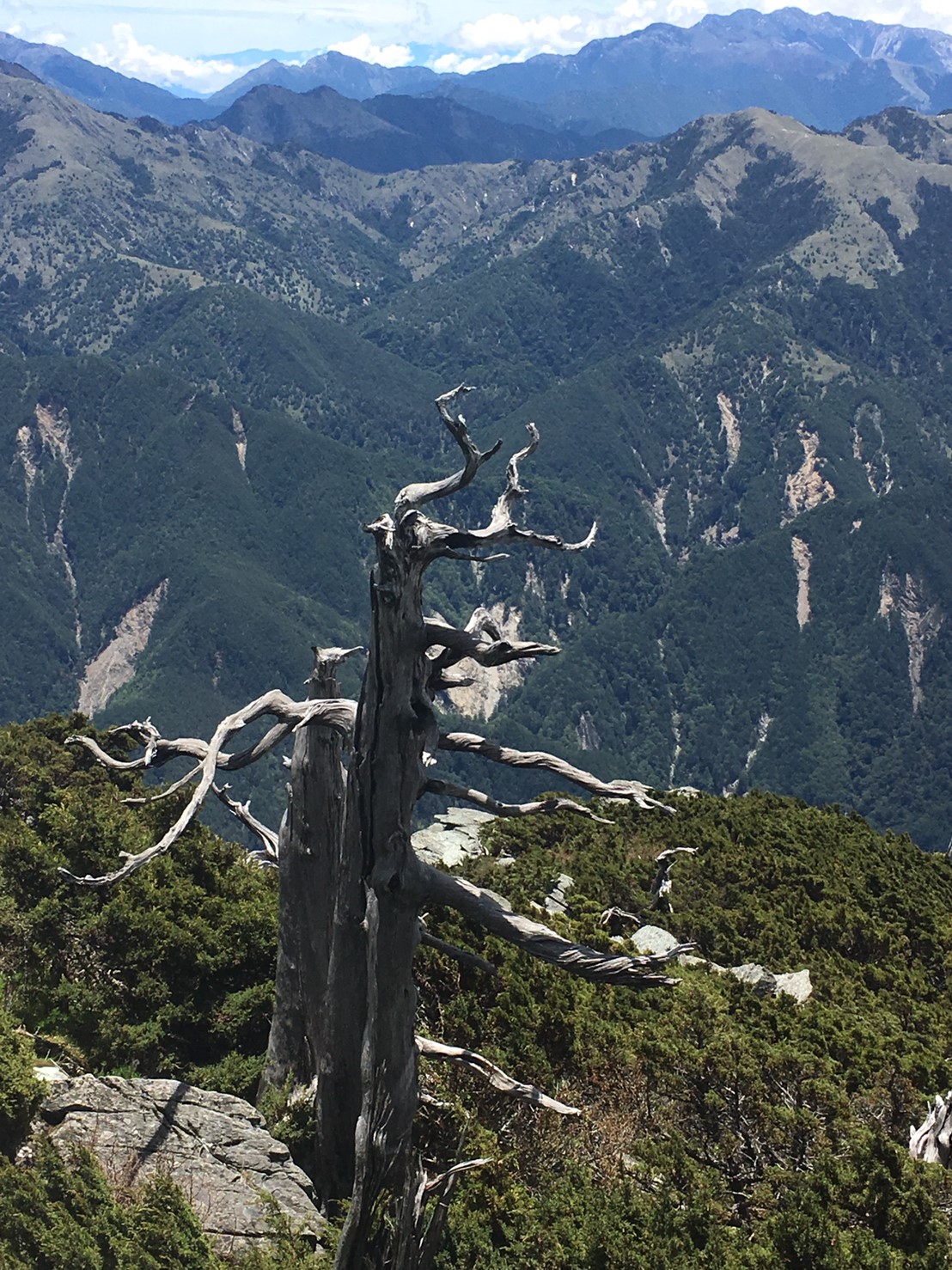 201906～08風景隨意拍_190612_0027