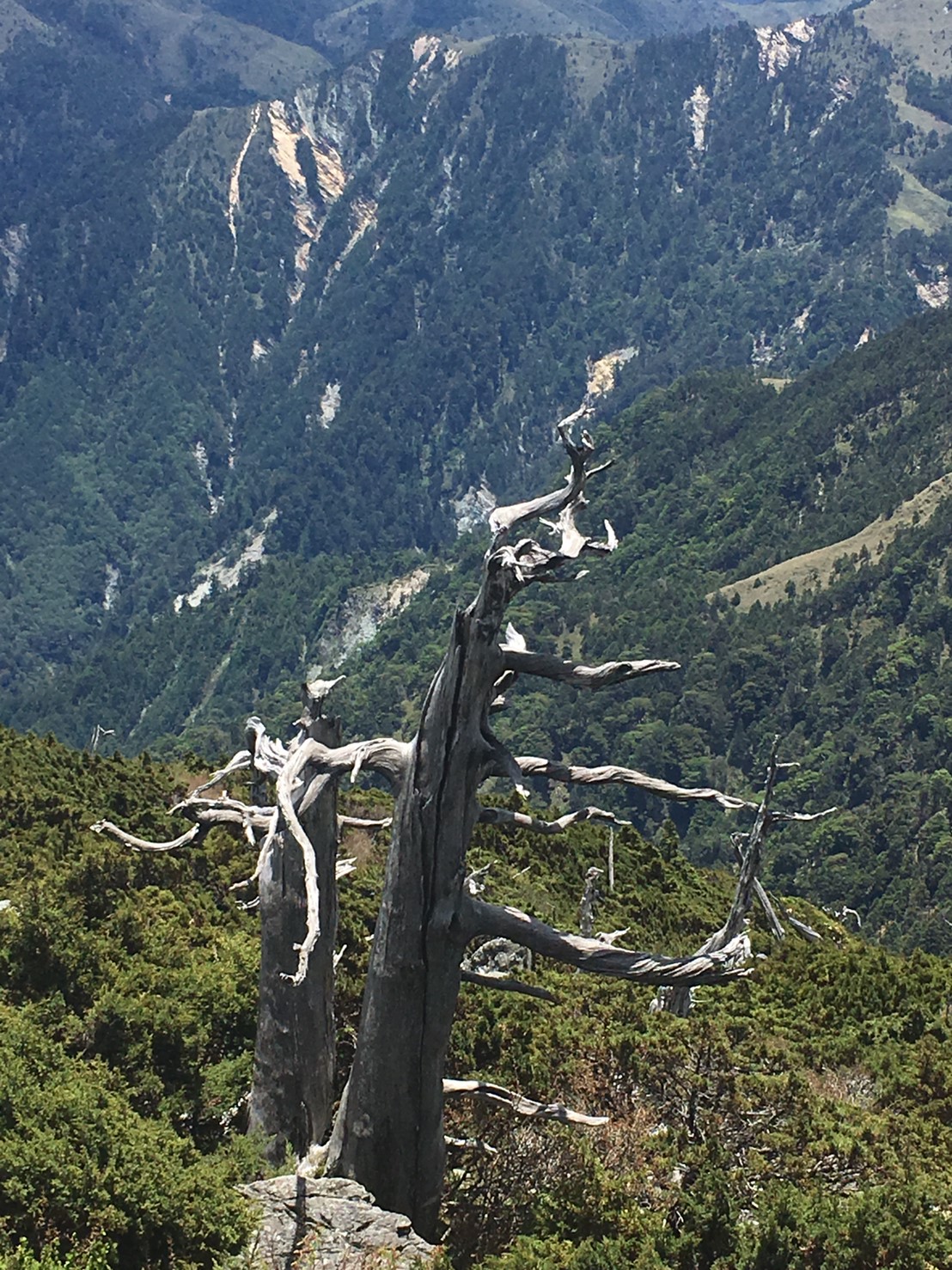 201906～08風景隨意拍_190612_0030