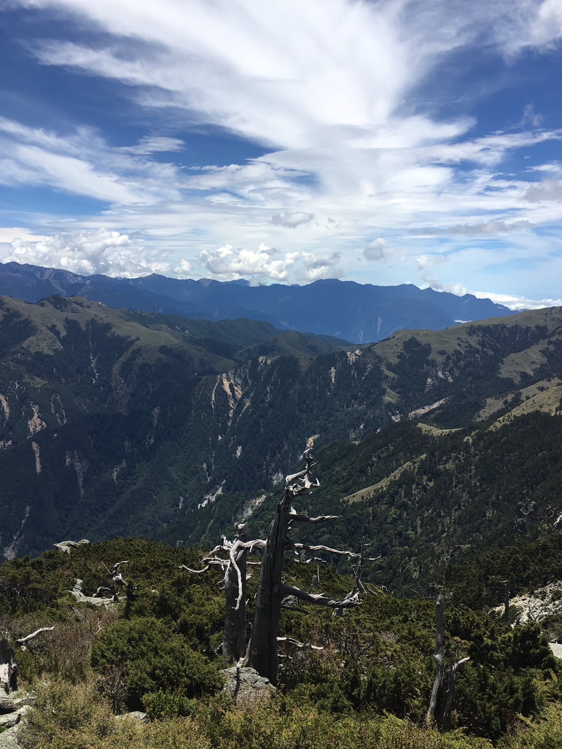 201906～08風景隨意拍_190612_0031