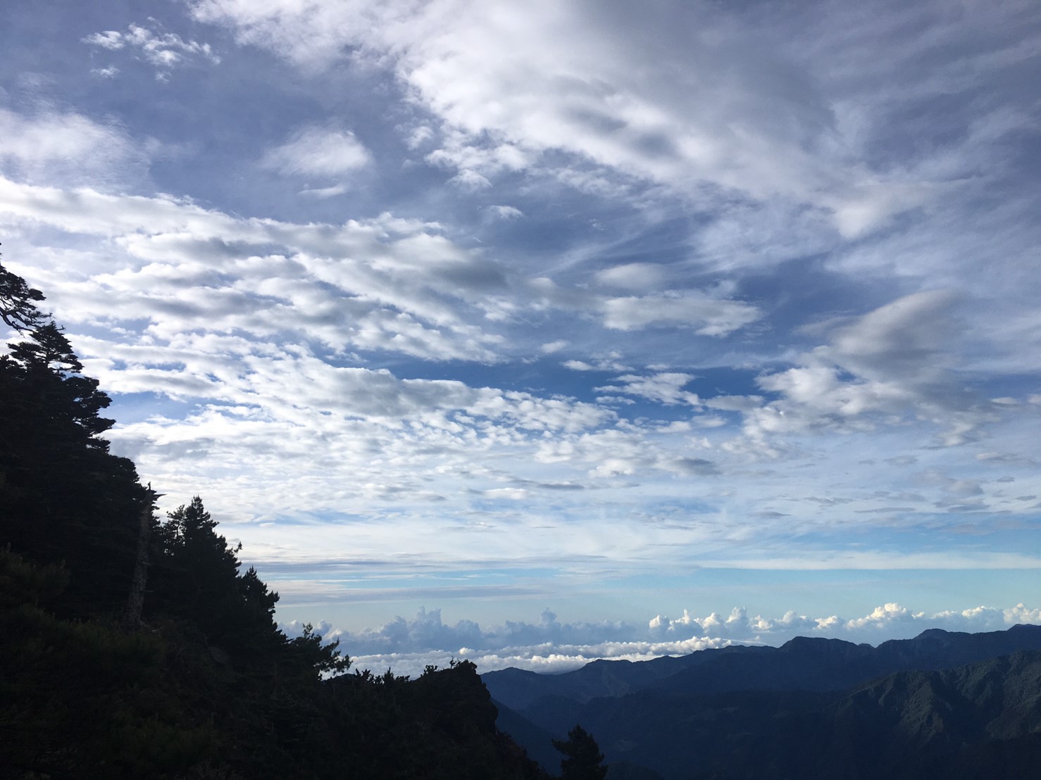 201906～08風景隨意拍_190612_0041