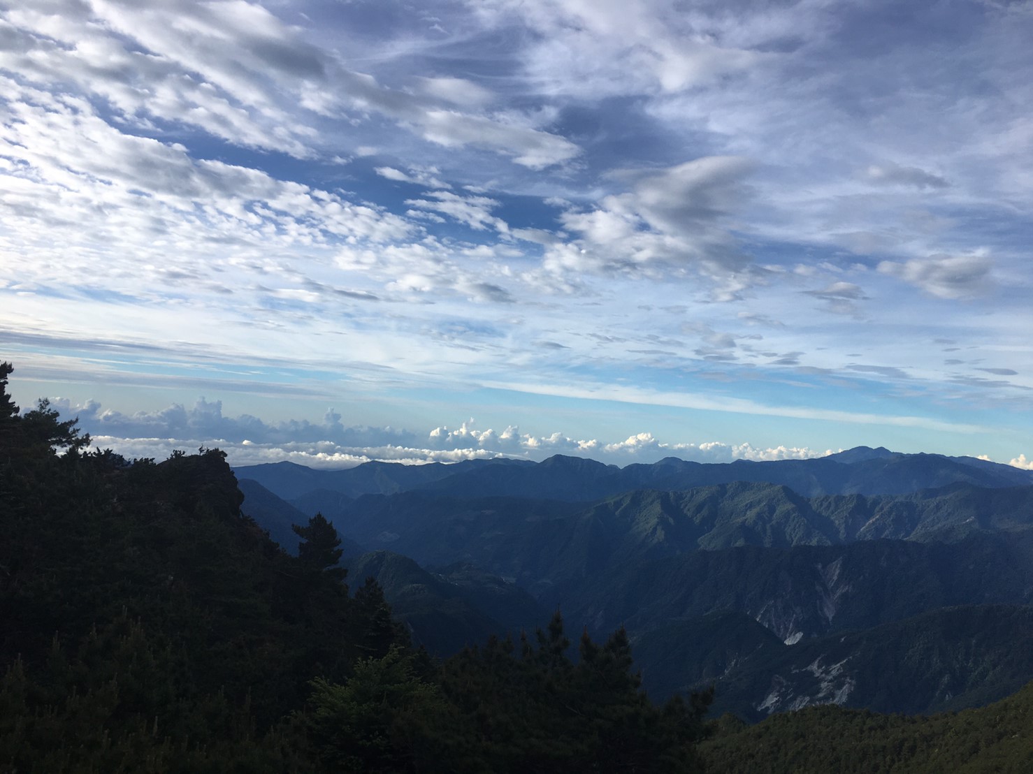 201906～08風景隨意拍_190612_0043