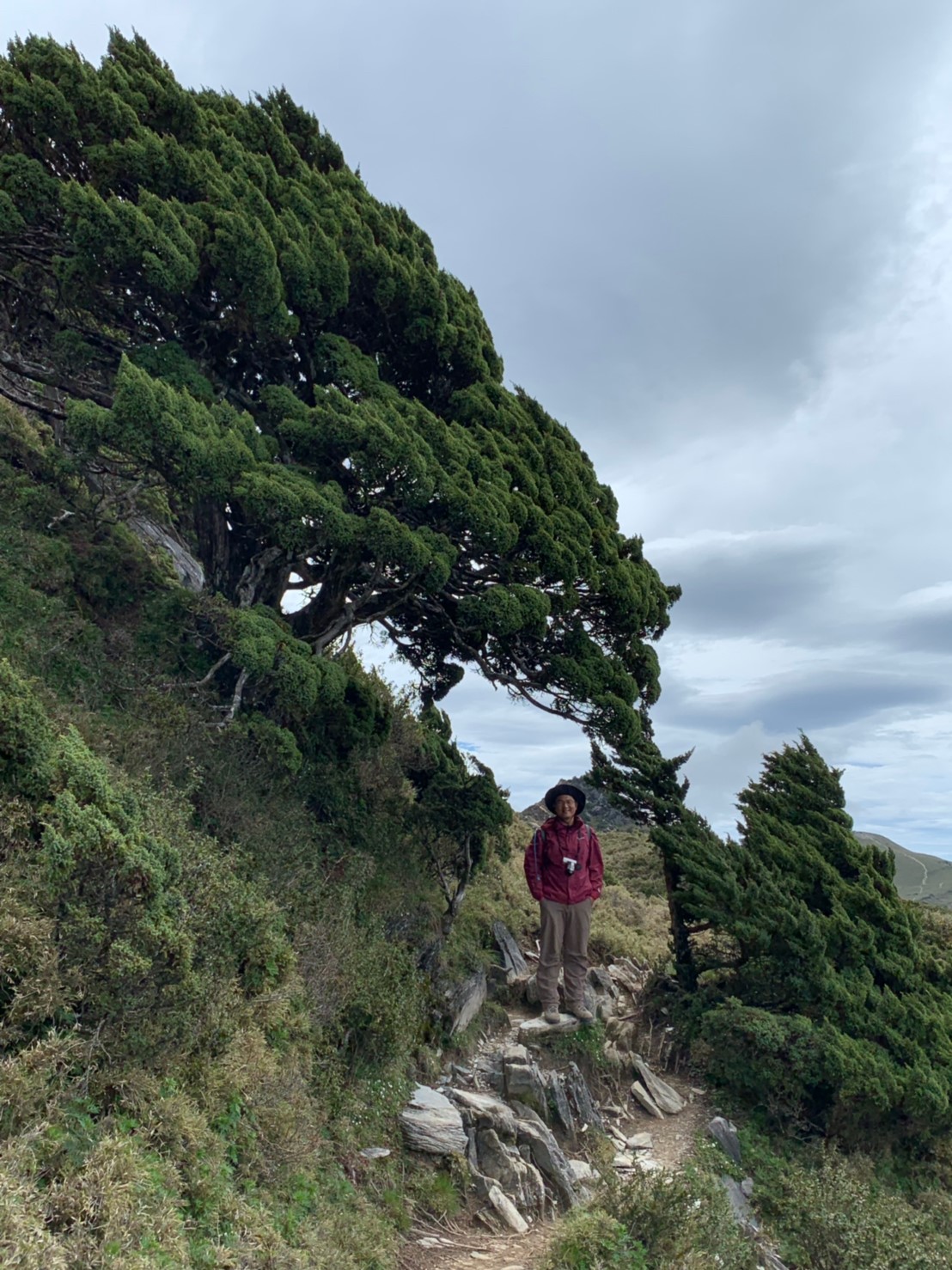20190608在三叉山與嘉明湖的日子_190611_0176