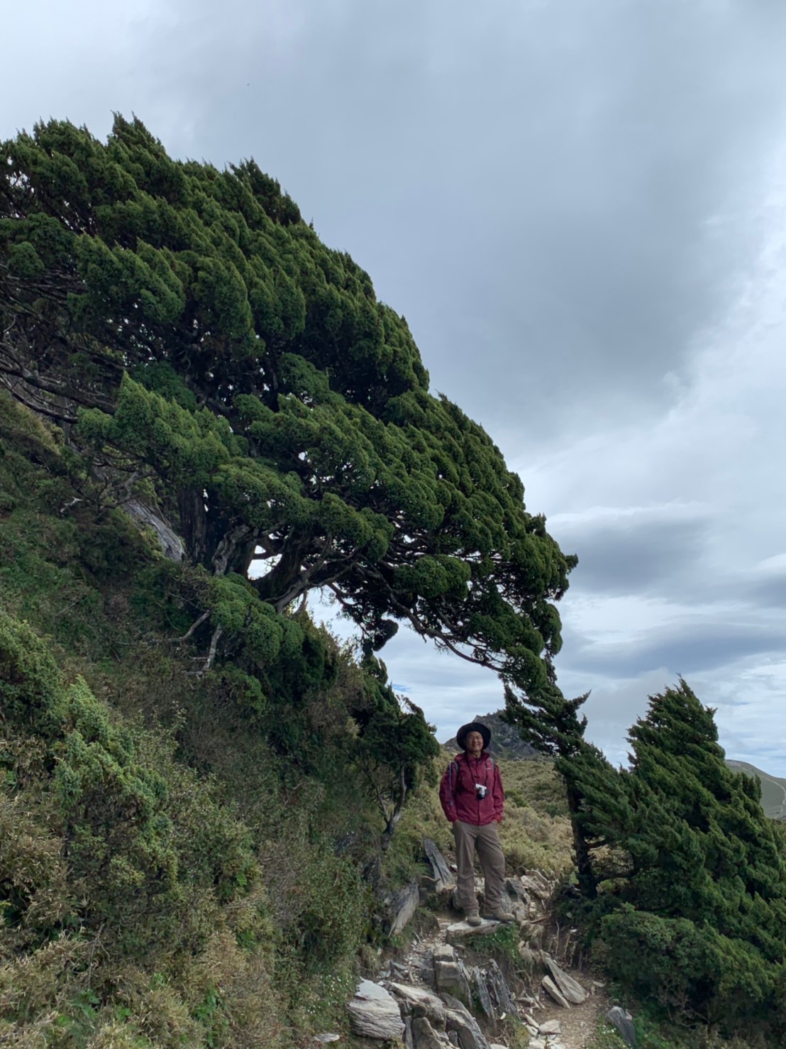 20190608在三叉山與嘉明湖的日子_190611_0177