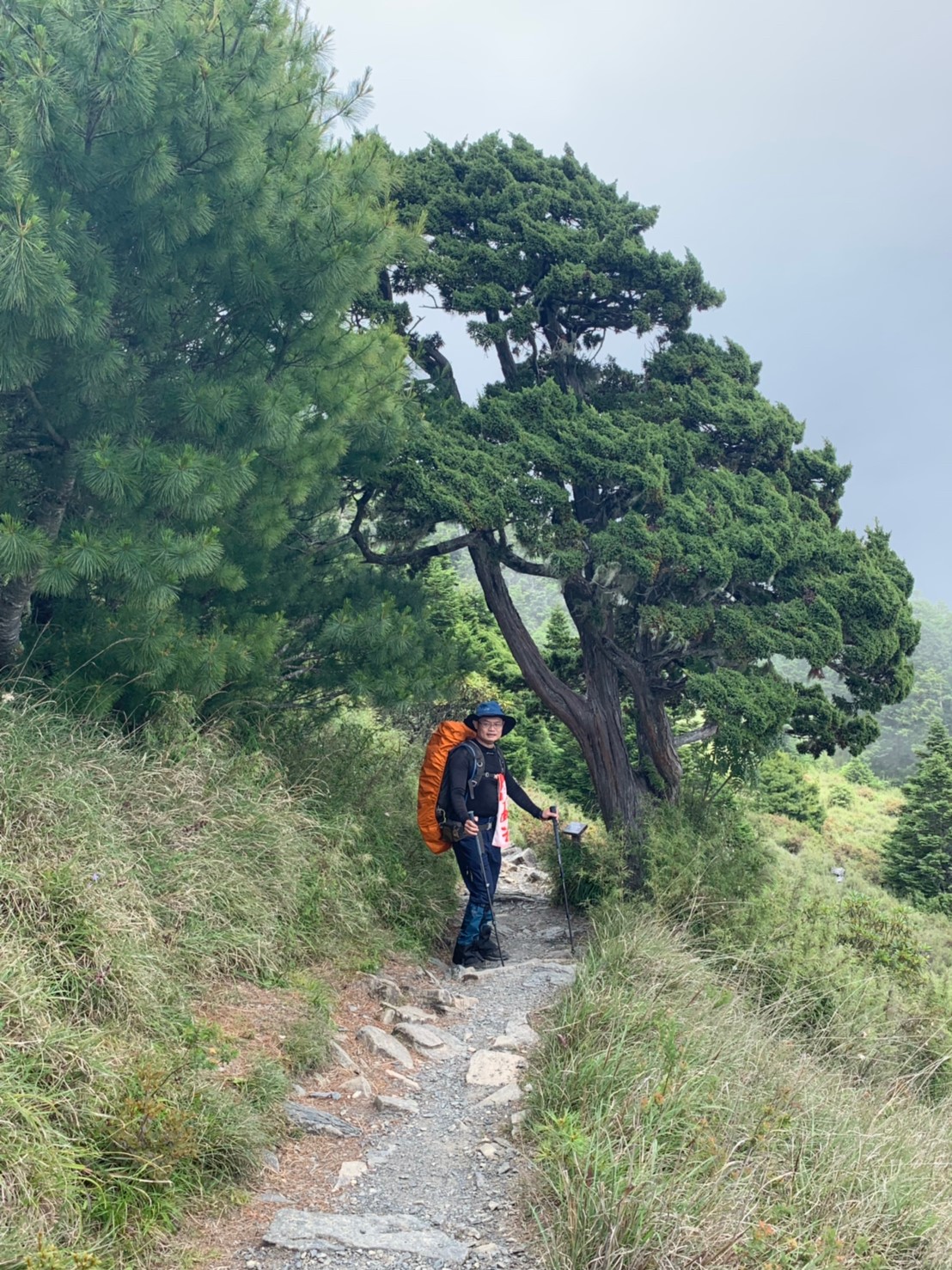 20190711-13雪主下翠池_190714_0052