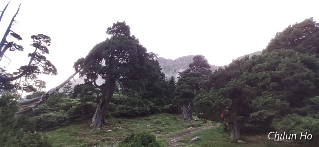 雪山主峰翠池步道