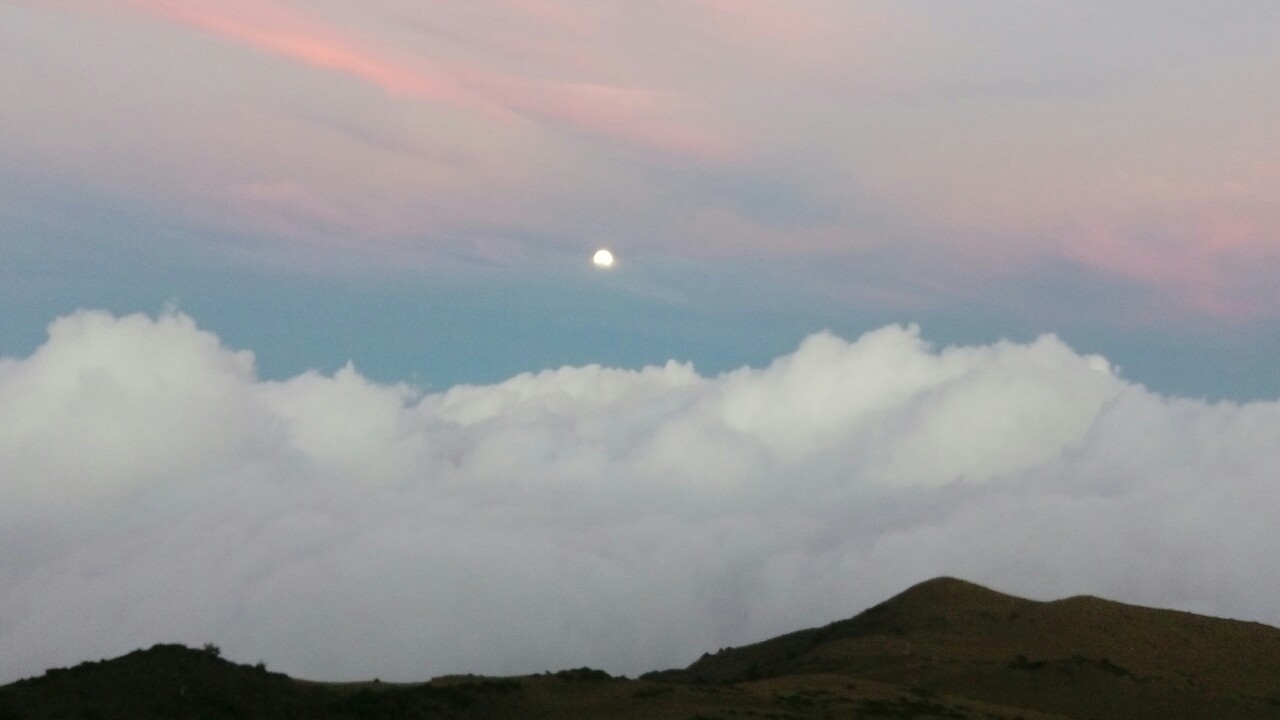 八大秀南達（怡）2019.09.11-16_190918_0015