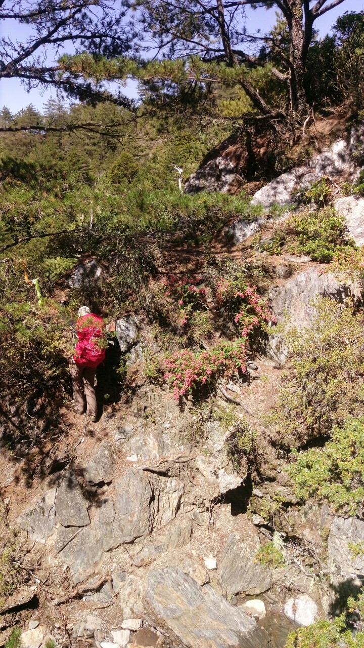 八大秀南達（怡）2019.09.11-16_190918_0058