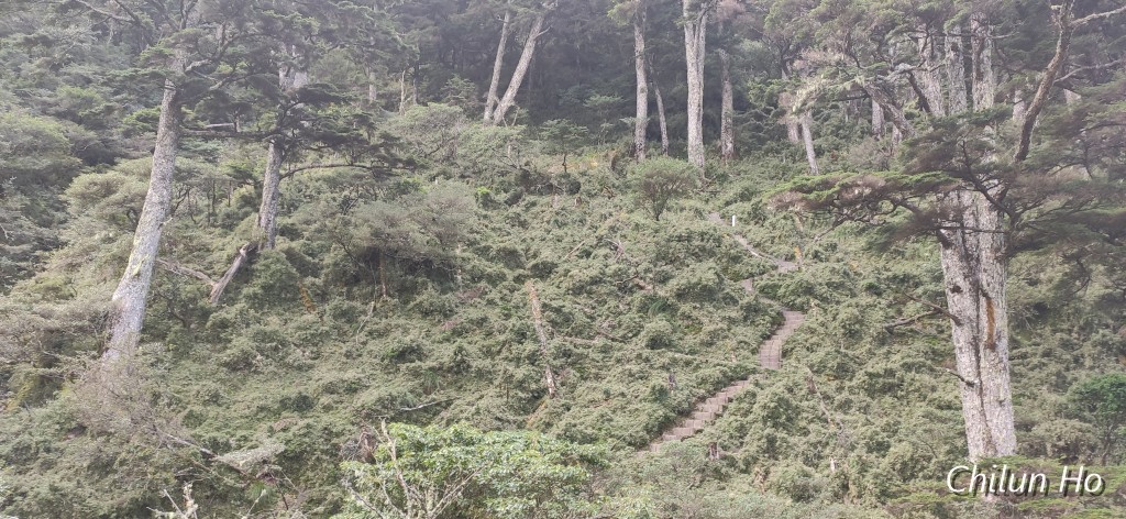 高繞路線