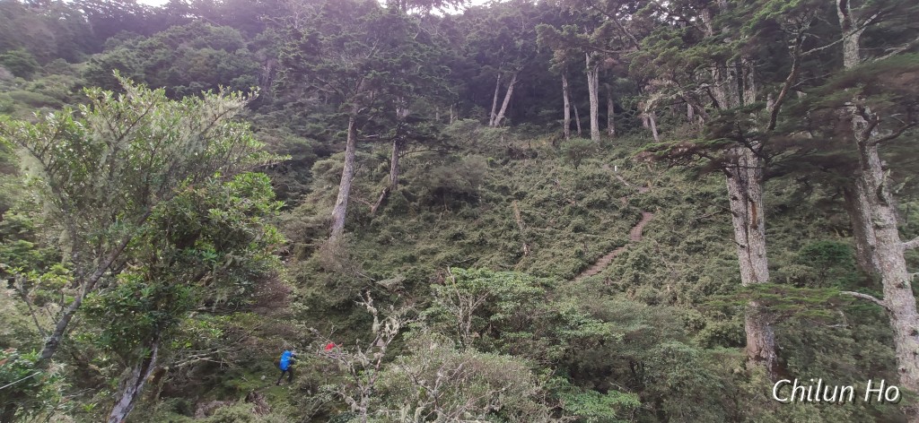 高繞路線