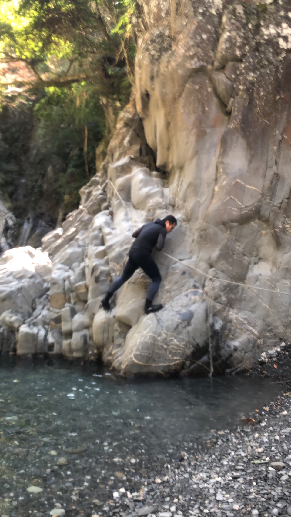 小精靈隨拍_200309_0019