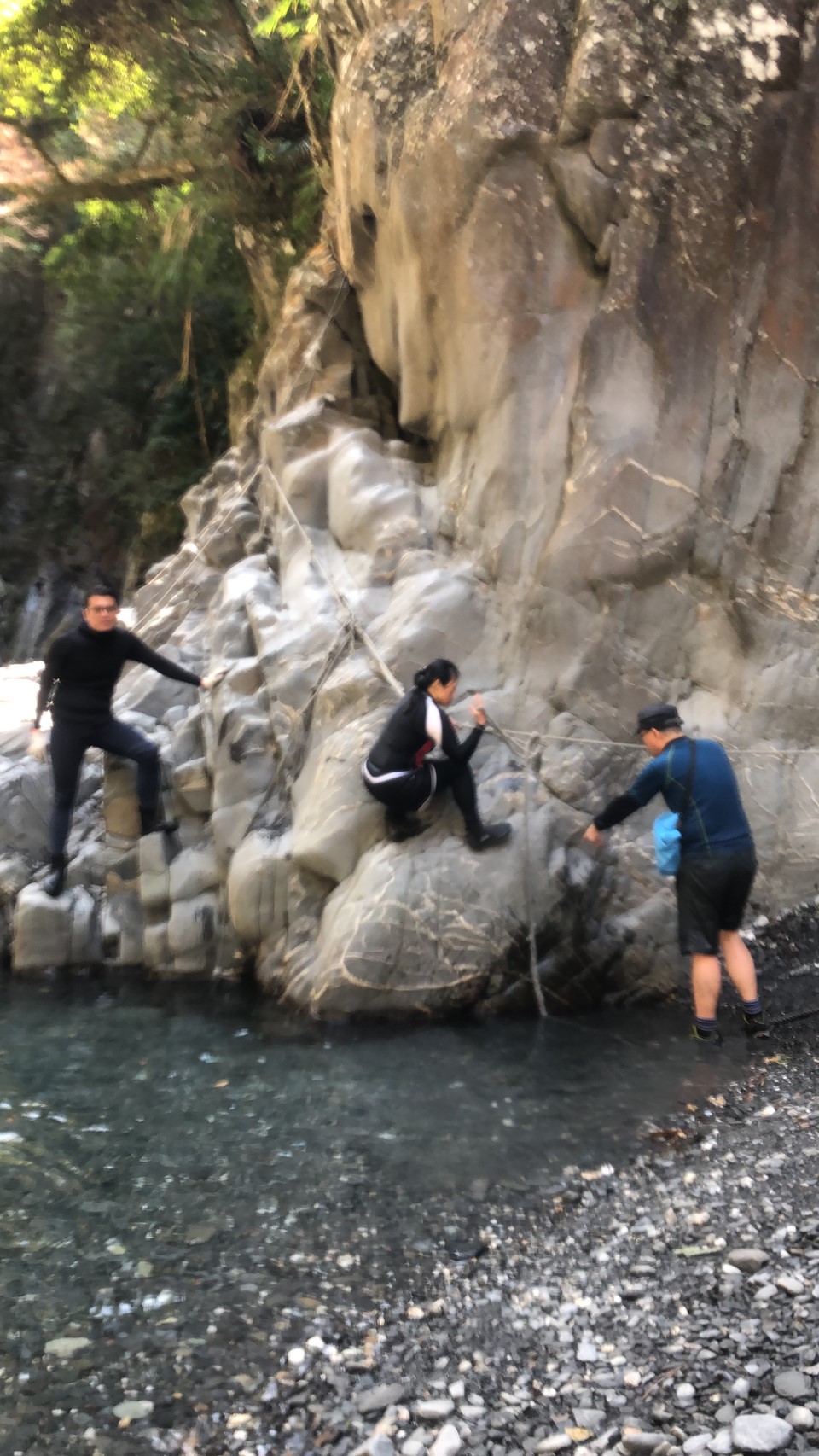 小精靈隨拍_200309_0020