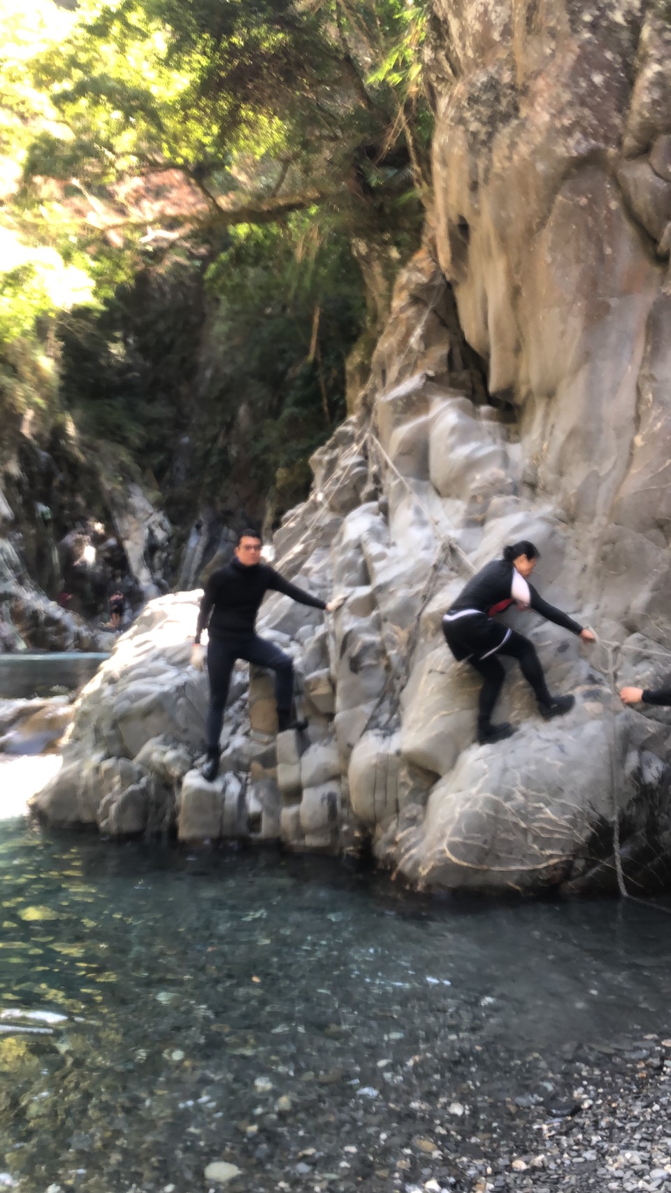 小精靈隨拍_200309_0022