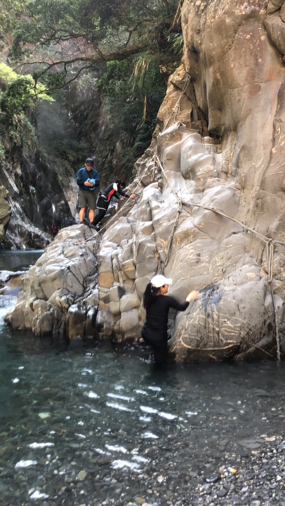 小精靈隨拍_200309_0069