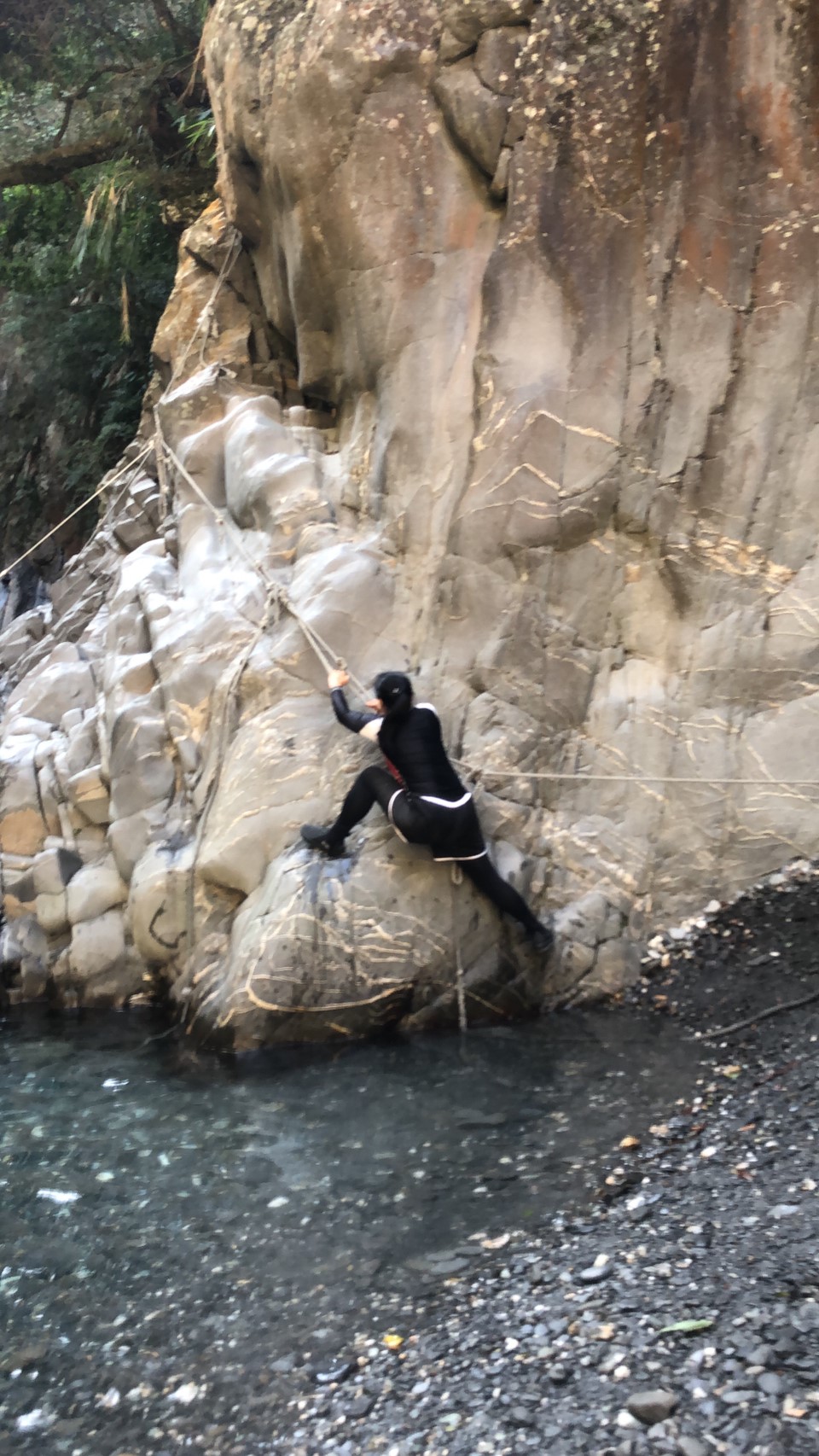 小精靈隨拍_200309_0072